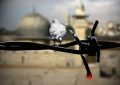 فلسطین محور عمده مسائل جهان اسلام